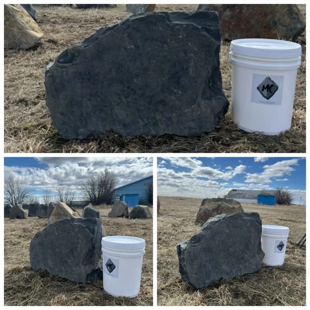 Homestead rock · Dark Rundle Boulder