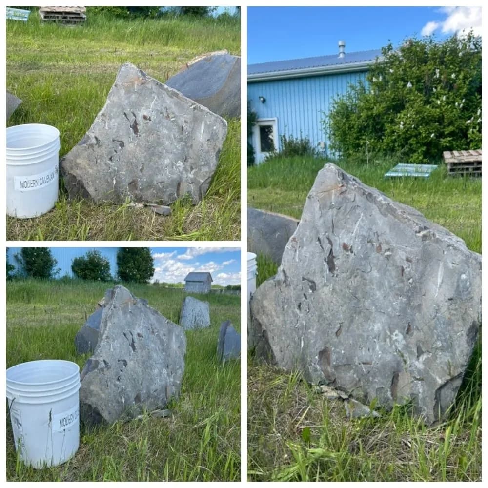 Homestead rock · Kendal Step
