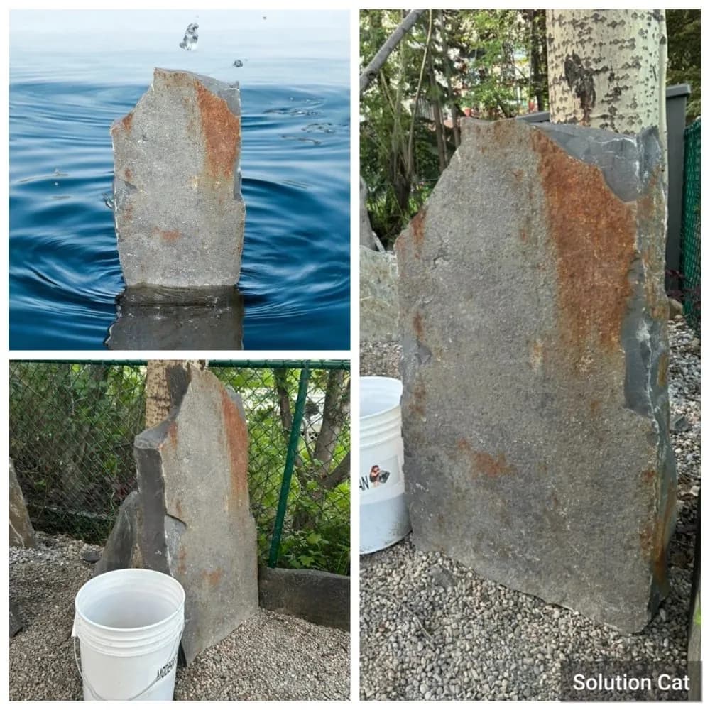 Homestead rock · Locust Step