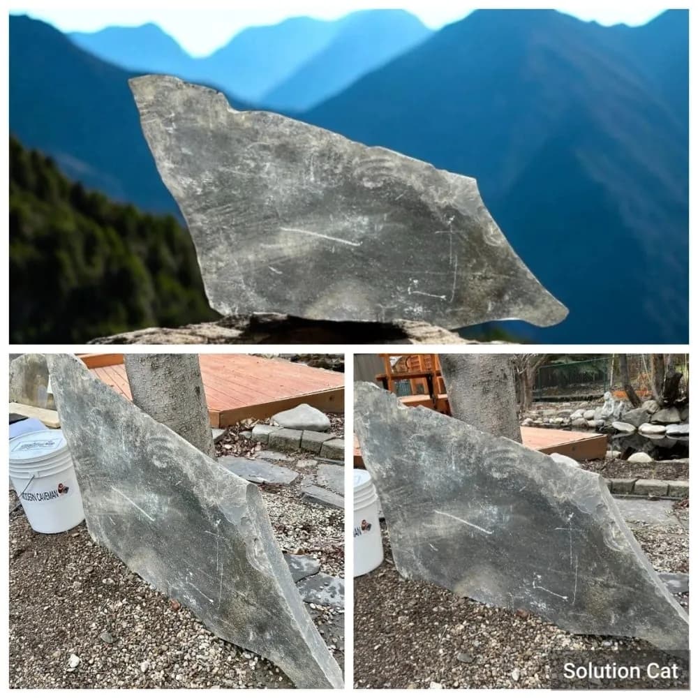 Rock #34 · Large Locust Hill Flagstone