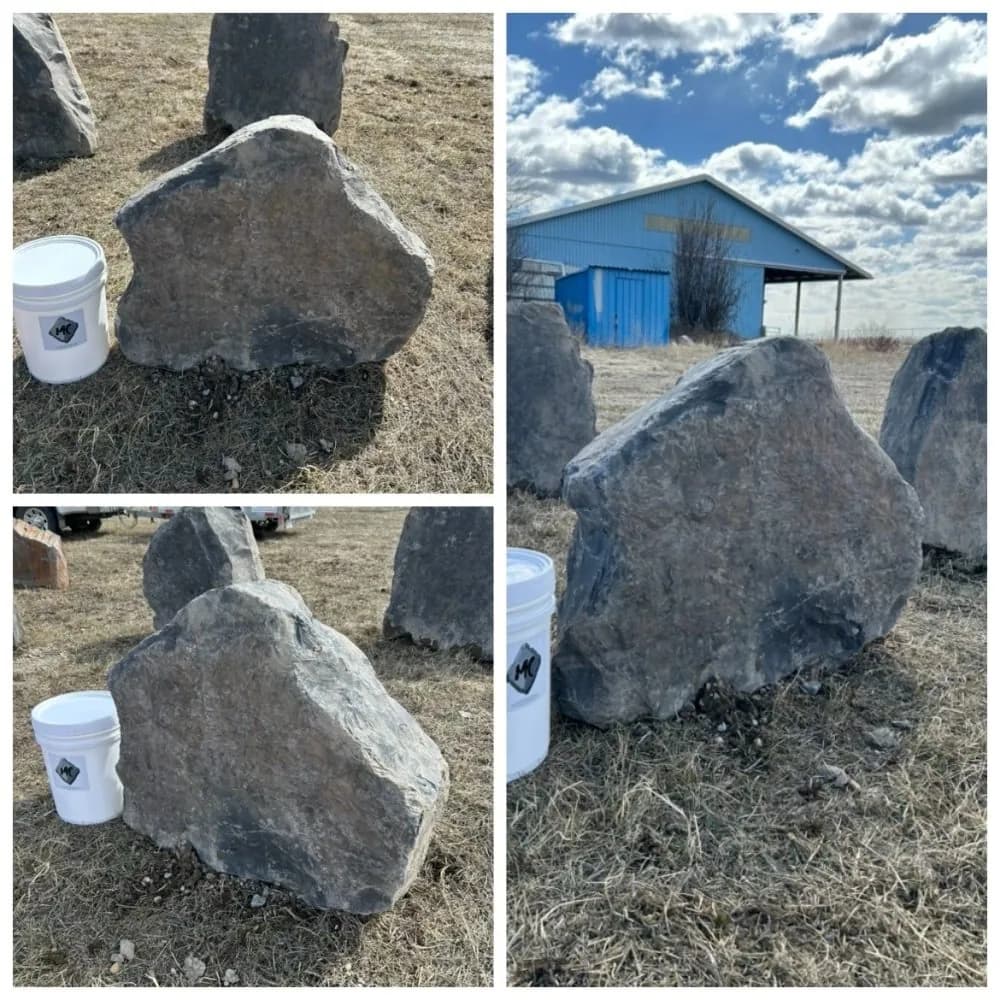 Rock #67 · Brown Rundle Boulder