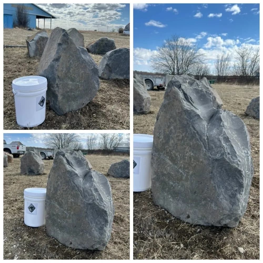 Rock #81 · Brown Rundle Boulder
