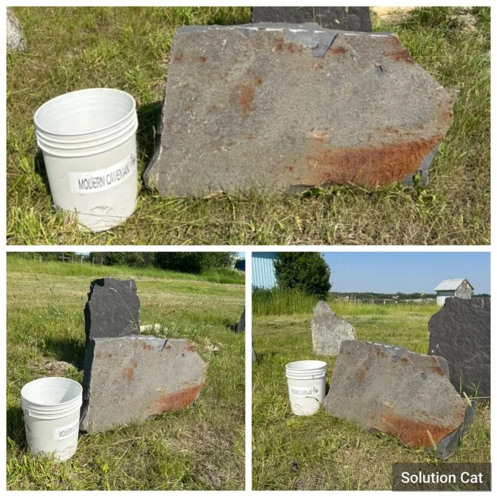 Rock #87 · Locust Step